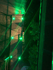 Lighting and Power Garden